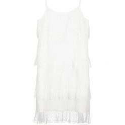 Sukienki hiszpanki: Navy London LOTTIE Sukienka letnia white