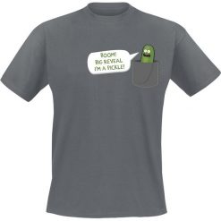 Rick And Morty Big Reveal T-Shirt szary. Szare koszulki męskie marki Rick And Morty, l, bez wzorów, bez kołnierzyka. Za 74,90 zł.