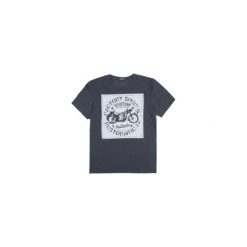 T-shirt męski. Szare t-shirty męskie TXM, m, bez wzorów, bez kołnierzyka. Za 24,99 zł.