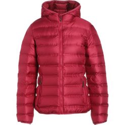 CMP WOMAN FIX HOOD JACKET Kurtka puchowa magentawine. Fioletowe kurtki damskie CMP, z poliesteru. W wyprzedaży za 415,20 zł.