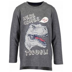 Blue Seven Chłopięcy T-Shirt Z Dinozaurem 92 Szary. Szare t-shirty chłopięce marki Blue Seven. Za 39,00 zł.