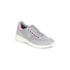 Buty Aigle LUPSEE W MESH. Szare trampki i tenisówki damskie Aigle, bez wzorów, z meshu, bez zapięcia. Za 219,50 zł.