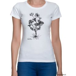Bluzki, topy, tuniki: Kaczeniec- t-shirt – różne kolory