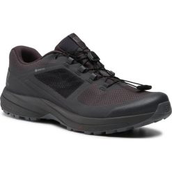 Buty SALOMON - Xa Elevate Gtx Nocturne GORE-TEX 408106 31 V0 Ebony/Quiet Shade/Black. Szare buty sportowe męskie Salomon, z tworzywa sztucznego, bez zapięcia, do biegania, gore-tex. W wyprzedaży za 519,00 zł.