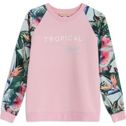 Bluzy rozpinane damskie: BLUZA SINDI NEW PINK