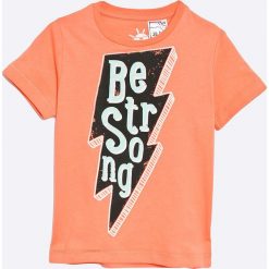 Zippy - T-shirt dziecięcy 95-138 cm. Pomarańczowe t-shirty męskie marki zippy, l, z nadrukiem, z bawełny, z okrągłym kołnierzem. W wyprzedaży za 29,90 zł.