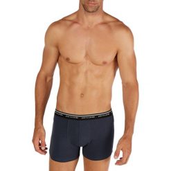 Bokserki (2 szt.) w kolorze niebieskim. Niebieskie bokserki męskie Pierre Cardin, z nadrukiem. W wyprzedaży za 47,95 zł.