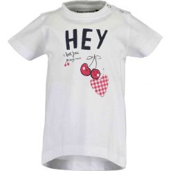 Blue Seven - T-shirt dziecięcy 68-86 cm. Czerwone bluzki dziewczęce Blue Seven, z nadrukiem, z bawełny, z okrągłym kołnierzem, z krótkim rękawem, krótkie, bez kaptura. Za 44,90 zł.