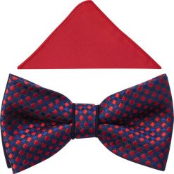 Granatowa mucha w czerwone kwadraty A339. Czerwone muszki męskie Adam Collection - Krawaty i dodatki, na co dzień, bez wzorów, z bawełny, eleganckie. W wyprzedaży za 49,50 zł.