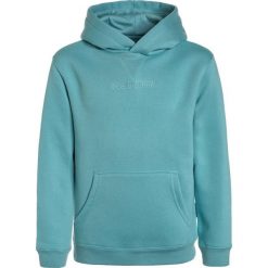 DC Shoes CRAIGBURN BOY Bluza z kapturem marine blue. Zielone bluzy chłopięce marki DC Shoes, z bawełny, z kapturem. Za 259,00 zł.