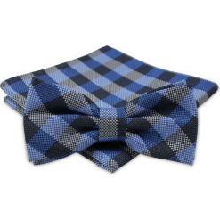 Modna Mucha Męska - Alties - Niebiesko-Granatowa w Kratkę MUALTS0238. Niebieskie muszki męskie Alties, na imprezę, w paski, eleganckie. Za 40,00 zł.