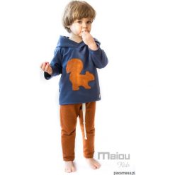 Bluzy chłopięce: Bluza Wiewiórka