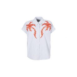 Bluzki damskie: Bluzki Scotch Soda NOFE