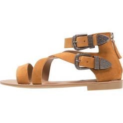 Sandały damskie: Steve Madden MIKO Sandały cognac