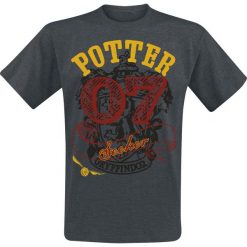 T-shirty męskie z nadrukiem: Harry Potter Gryffindor Seeker T-Shirt odcienie szarego