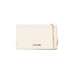 Torebki klasyczne damskie: Torby na ramię Love Moschino JC4100PP15