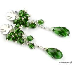 Gronka z monsterą -kolczyki kryształy Swarovski. Szare kolczyki damskie Pakamera. Za 199,00 zł.