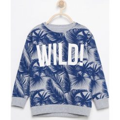 Bluzy chłopięce: Bluza z tropikalnym motywem – Jasny szar