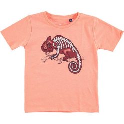 T-shirty chłopięce z nadrukiem: Koszulka w kolorze koralowym