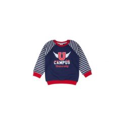Bluza niemowlęca chłopięca. Szare bluzy niemowlęce marki TXM. Za 19,99 zł.