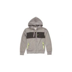 Bluza męska rozpinana. Szare bluzy męskie TXM, m, bez wzorów, z dzianiny, sportowe, z kapturem, bez rękawów, bez kaptura. Za 19,99 zł.