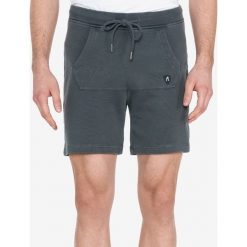 Replay Szorty Szary. Szare spodenki i szorty męskie Replay, m, bez wzorów, z bawełny. Za 464,95 zł.