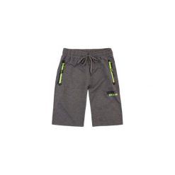 Szorty męskie sportowe. Szare spodenki dresowe męskie marki TXM, w kolorowe wzory, sportowe. Za 29,99 zł.