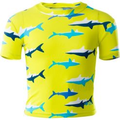 Kąpielówki chłopięce: AQUAWAVE Dziecięce kąpielówki SHARK KIDS SWIM SHIRT, kolor SULPHUR SPRING/SHARK PRINT, rozmiar 110