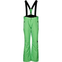 Spodnie narciarskie w kolorze zielonym. Zielone spodnie męskie Peak Mountain, na imprezę, m, bez wzorów. W wyprzedaży za 249,95 zł.