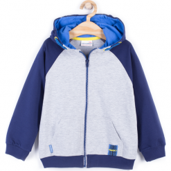 Bluza. Szare bluzy chłopięce rozpinane TRUCK, z bawełny, z kapturem. Za 39,90 zł.
