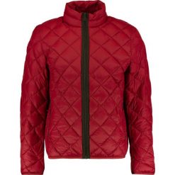 Kurtki męskie bomber: Benetton Kurtka puchowa bordeaux