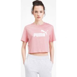 Puma Amplified Koszulka Beżowy. Brązowe koszulki damskie Puma, s, z nadrukiem, z bawełny. Za 111,95 zł.