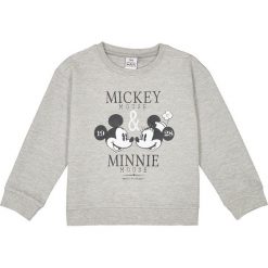 Bluza 3-12 lat. Szare bluzy dziewczęce marki La Redoute Collections, z bawełny, z długim rękawem, długie. Za 52,88 zł.