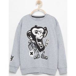 Bluza z nadrukiem - Jasny szar. Szare bluzy chłopięce marki Reserved, m, z nadrukiem. Za 29,99 zł.