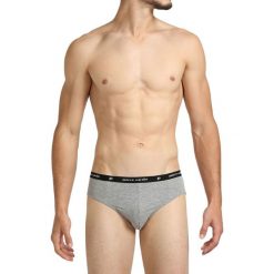 Slipy w kolorze szarym. Szare slipy męskie Pierre Cardin, s, z nadrukiem, z bawełny. W wyprzedaży za 29,95 zł.