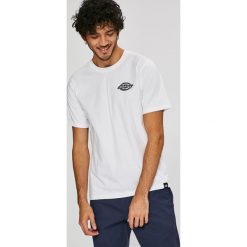 T-shirty męskie: Dickies – T-shirt