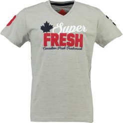 T-shirty męskie z nadrukiem: Koszulka „Juna” w kolorze szarym