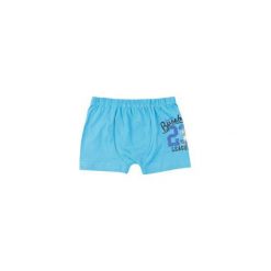 Majtki chłopięce. Niebieskie bielizna chłopięca marki TXM. Za 7,99 zł.