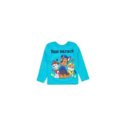 T-shirt długi rękaw chłopięcy z printem Psi Patrol. Niebieskie t-shirty chłopięce z nadrukiem marki TXM, z bawełny, z długim rękawem. Za 13,59 zł.