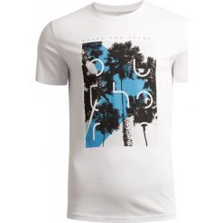 T-shirt męski TSM625 - biały - Outhorn. Białe koszulki męskie Outhorn, m, bez wzorów, bez kołnierzyka, bez rękawów. W wyprzedaży za 39,99 zł.