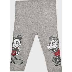 Blukids - Legginsy dziecięce Disney Mickey Mouse 68-98 cm. Szare spodnie dziewczęce Blukids, z nadrukiem, z elastanu. W wyprzedaży za 34,90 zł.