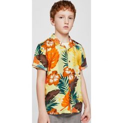Mango Kids - Koszula dziecięca Maui 110-164 cm. Szare koszule męskie marki Mango Kids, z wiskozy, z klasycznym kołnierzykiem, z krótkim rękawem. W wyprzedaży za 39,90 zł.