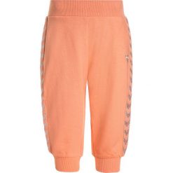 Chinosy chłopięce: Hummel BABY PANTS Spodnie treningowe desert flower