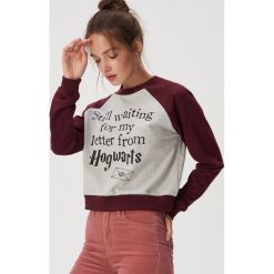 Bluza crop top Harry Potter - Jasny szar. Topy damskie Sinsay, s, bez wzorów, bez kołnierzyka. Za 49,99 zł.