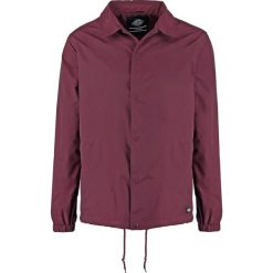 Kurtki męskie bomber: Dickies TORRANCE Kurtka wiosenna maroon