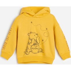 Bluza z kapturem Kubuś Puchatek -. Bluzy męskie Reserved, z motywem z bajki, z kapturem, bez rękawów, z kapturem. Za 59,99 zł.
