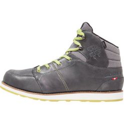 Buty trekkingowe męskie: Dachstein HUBERT DDS Buty trekkingowe graphite