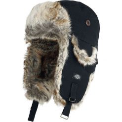 Dickies Trout Creek Czapka czarny. Czarne czapki zimowe damskie marki Dickies, w paski. Za 121,90 zł.