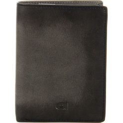 Portfel skórzany DAAG Alive P-07 szary vintage w pudełku - Szary. Szare portfele męskie daag, bez wzorów, ze skóry. Za 156,99 zł.