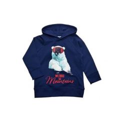 Gelati Chłopięca Bluza Z Niedźwiedziem Polarnym, 116, Ciemnoniebieska. Niebieskie bluzy chłopięce marki Gelati, z napisami, z bawełny. W wyprzedaży za 45,00 zł.